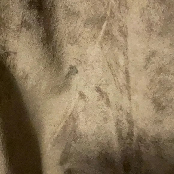 August Silk Brown Straight Leg Pants - Picture 2 of 6